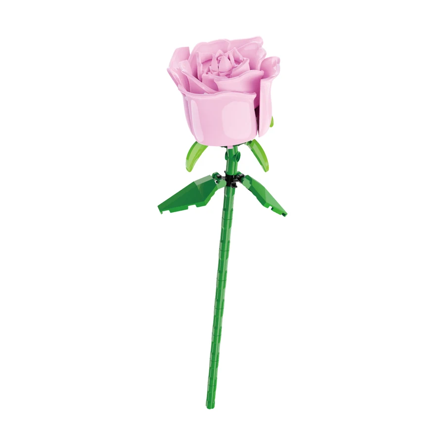 Pink Rose