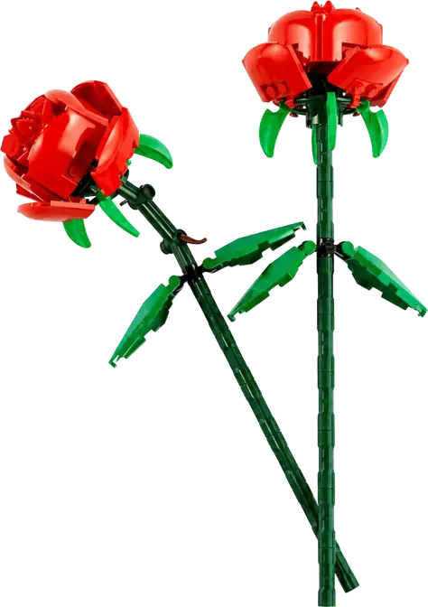 Red Roses